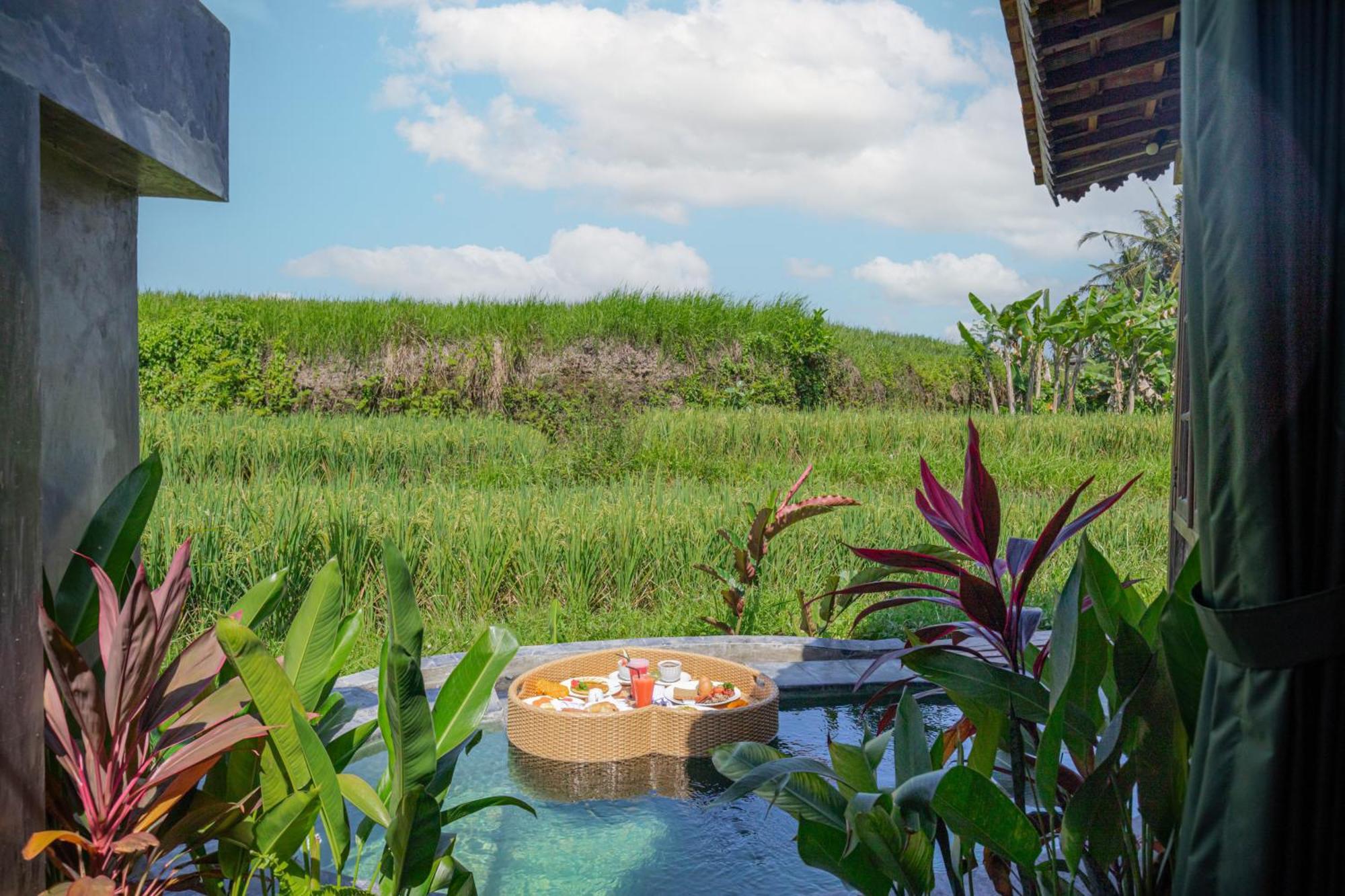 Abian Ubud View Екстер'єр фото